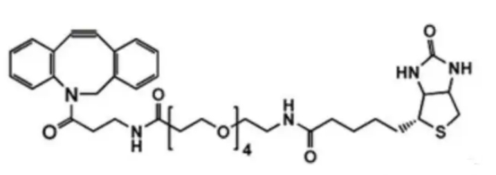 二苯基環(huán)辛炔-PEG4-生物素