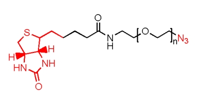 Biotin-PEG-SC