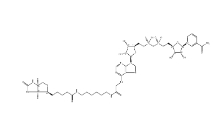 146385-37-7             Biotin-NAD+	     生物素-NAD +	