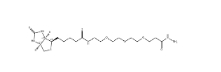 1381861-94-4        Biotin-PEG3-hydrazide	   生物素-PEG3-酰肼	