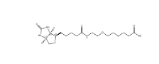 1365655-89-5       Biotin-PEG2-COOH	        生物素-PEG2-酸	