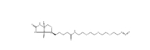 875770-34-6         Biotin-PEG4-N3 	N-[2-[2-[2-(2-疊氮乙氧基)乙氧基]乙氧基]乙基]生物素胺	