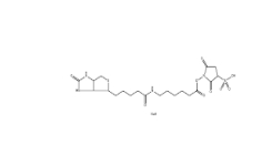 127062-22-0        Sulfo-NHS-LC-Biotin	       水溶生物素活性酯交聯(lián)劑，6-(生物素酰胺)己酸磺酸基琥珀酰亞胺酯鈉鹽	