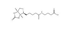 35924-87-9         4-（（Biotinoyl）amino）Butyric acid	         生物素?；?4-氨基丁酸	