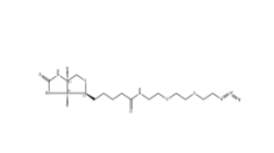 945633-30-7         Biotin-PEG3-azide，生物素-PEG3-疊氮化物		