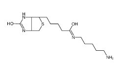 115416-38-1            Biotin-NH2/生物素-氨基		