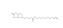 1910803-72-3          Biotin-PEG2-azide/生物素二聚乙二醇疊氮		