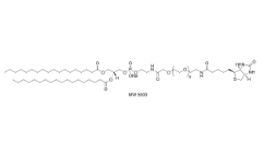 385437-57-0；磷脂PEG生物素；DSPE-PEG-Biotin	