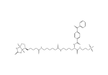 910036-44-1        甲基硫代磺酸2-[Nα-苯甲酰基苯甲酰氨基-N6-（6-生物素氨基己?；?L-賴氨酰胺基]乙基