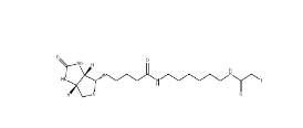 [CAS 93285-75-7]	        