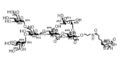 1995898-20-8           M3(Fuc6)-biotin		