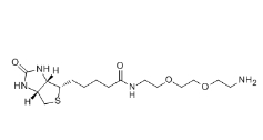 138529-46-1         生物素-PEG2-胺	N-BIOTINYL-3,6-DIOXAOCTANE-1,8-DIAMINE	