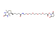 459426-22-3       Biotin-PEG4-NHS ester	生物素-四聚乙二醇-NHS 酯	