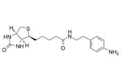 769933-15-5        Biotin-aniline，98%，25mg	生物素-苯胺	