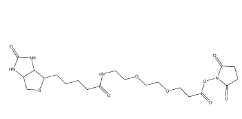 596820-83-6         9-BiotinlaMino-4,7-dioxanonanoic acid N-hydroxysucciniMidyl ester	(+)-生物素-PEG2-NHS酯	