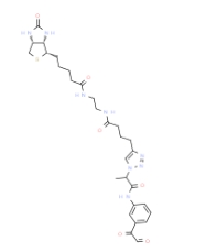 2468149-70-2         Citrulline-specific Probe-biotin		