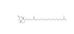 CAS： 721431-18-1          Biotin-PEG4-acid小分子PEG	 15-[D-(+)-生物素氨基]-4,7,10,13-四氧雜十五烷酸	