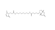 305372-39-8，Biotin-PEG2-Mal小分子PEG,生物素-二聚乙二醇-酰胺-馬來(lái)酰亞胺