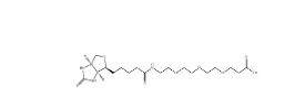 CAS號：252881-76-8 ；Biotin-PEG3-COOH ；Biotin-PEG3-prop