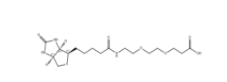 1365655-89-5,Biotin-PEG2-COOH	，生物素-二聚乙二醇-丙酸