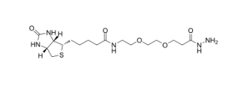 （+）-Biotin-PEG2-Hydrazide；（+）-生物素-PEG2-酰肼