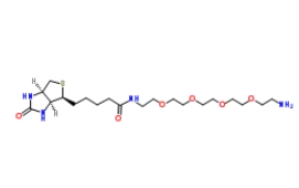 663171-32-2；（+）-Biotin-PEG4-CH2CH2NH2；生物素-五聚乙二醇-氨基