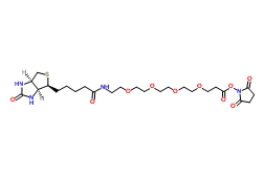 459426-22-3；（+）-Biotin-PEG4-NHS Ester；生物素-四聚乙二醇-NHS 酯