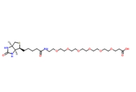 1352814-10-8；（+）-Biotin-PEG6-CH2CH2COOH；生物素六聚乙二醇羧乙基