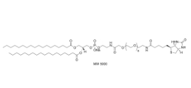 385437-57-0；Biotin-PEG2000-DSPE，DSPE-PEG2000-Biotin；生物素聚乙二醇磷脂