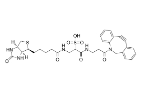 1363444-70-5；DBCO-Sulfo-link-biotin；二苯并環(huán)辛炔- 水溶性-連接生物素