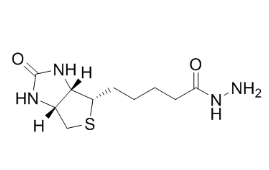 66640-86-6，Biotin hydrazide HCl，生物素酰肼