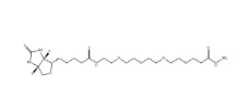 cas: 756525-97-0/Biotin-PEG4-hydrazide/生物素四聚乙二醇酰肼