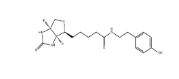 41994-02-9；Biotinyl tyramide；生物素基酪氨酰胺	