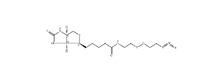 cas:1620523-64-9；Biotin-SS-azide；生物素-二硫-疊氮	