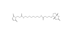 CAS： 305372-39-8；生物素 PEG2 馬來酰亞胺 