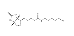 CAS號(hào):115416-38-1；生物素-C5-胺；5-(Biotinamido)pentylamine