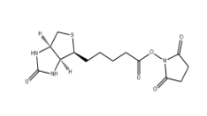 CAS號(hào):35013-72-0；(+)生物素-N-琥珀酰亞胺基酯；Biotin NHS