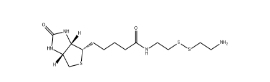 CAS號(hào):128915-82-2；生物素半胱胺；Biotinyl Cystamine