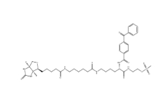 910036-44-1；2-[Nα-Benzoylbenzoicamido-N6-(6-biotinamidocaproyl)-L-lysinylamido]ethyl Methanethiosulfonate		