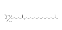 721431-18-1；Biotin-PEG4-COOH；15-[D-(+)-生物素氨基]-4,7,10,13-四氧雜十五烷酸	