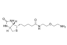 811442-85-0；Biotin-PEG1-amine；生物素-二聚乙二醇-氨基	