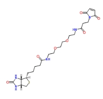 305372-39-8；Biotin-PEG2-amido-Mal；物素-二聚乙二醇-酰胺-馬來酰亞胺	