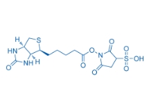 190598-55-1；Biotin sulfo-N-hydroxysuccinimide ester	；2,5-二氧代-1-((5-((3AS,4S,6AR)-2-氧代六氫-1H-噻吩并[3,4-D]咪唑-4-基)戊酰基)氧基)吡咯烷-3-磺酸	