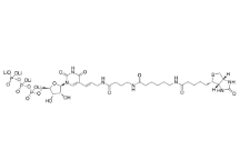 186033-13-6；生物素-16-UTP；5-(N-[N-Biotinyl-ω-aminocaproyl-γ-aminobutyryl]-3-aminoallyl)uridine 5′-triphosphate	