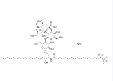 cas:2260669-91-6；12:0 生物素-18:1 PE 