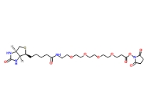 459426-22-3；Biotin-PEG4-NHS ester；生物素-四聚乙二醇-NHS 酯