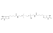 CAS：293298-36-9；Bis-Biotin-PEG23  