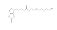 Biotin-PEG-Amine，Biotin-PEG-NH2 ；生物素PEG氨基