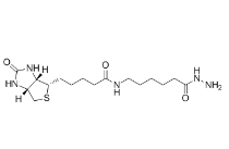 109276-34-8，生物素LC酰肼，BIOTINAMIDOCAPROYL HYDRAZIDE	