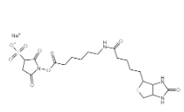 191671-46-2，Biotinamidohexanoic acid 3-sulfo-N-hydroxysuccinimide ester sodium salt